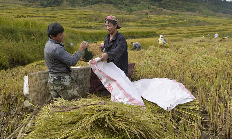 癌症种类与发病死亡趋势聚焦，前五位癌症种类分析