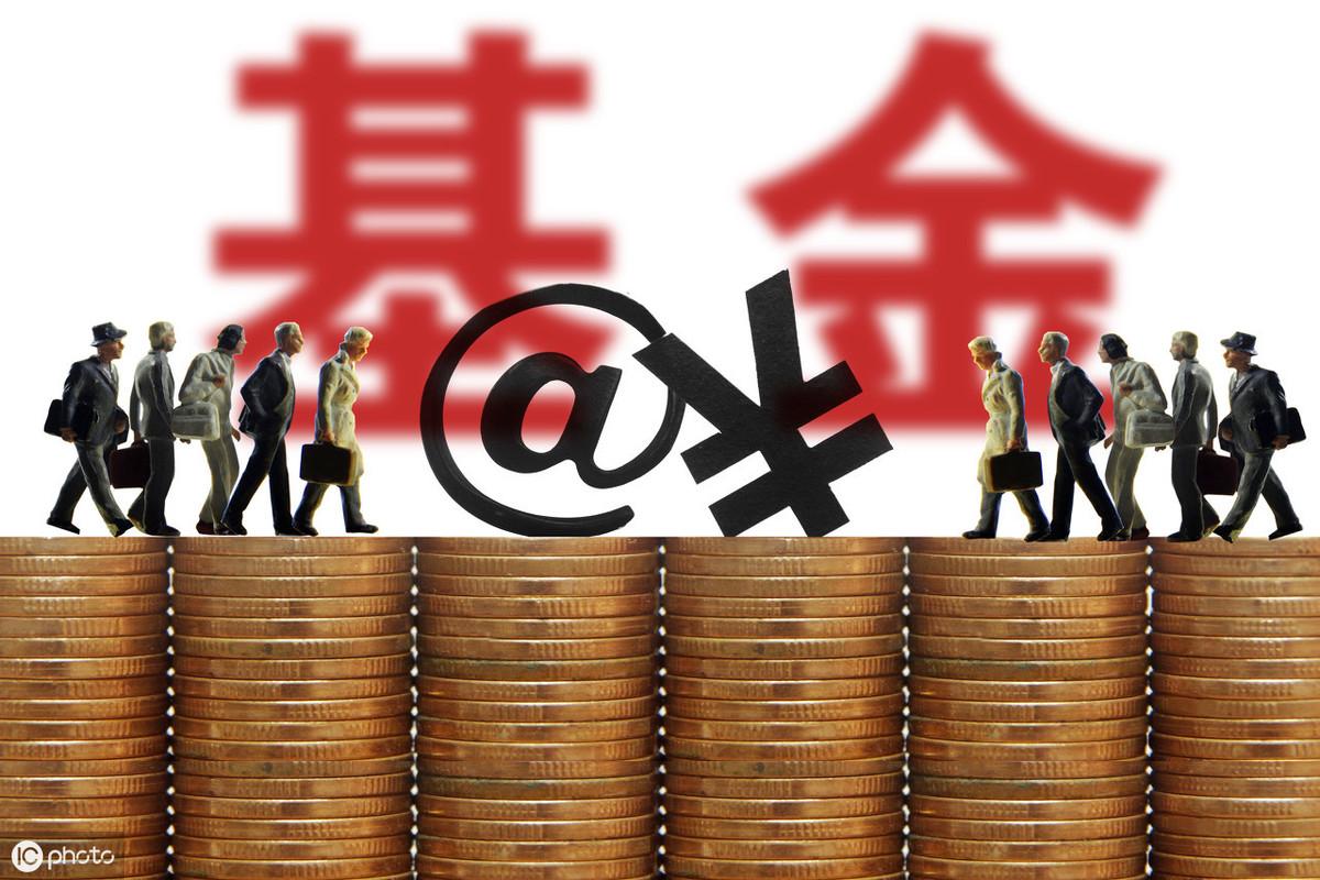 揭秘，沪市A股主力资金增仓前十行业巨头深度解析（11月25日）