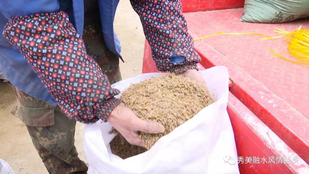 村民回应耕地恢复后遭遇荒废现象，原因与应对策略探讨