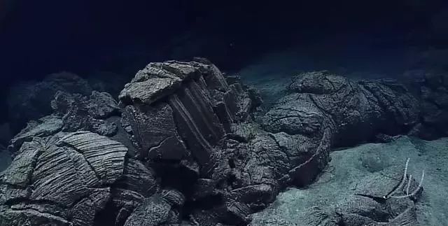 海底一万米神秘世界揭秘