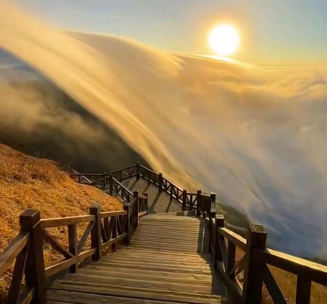 董宇辉，流量时代的独特风景，淡看泼天流量的非凡魅力