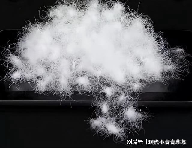 热文 第181页