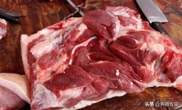 国际牛肉价格持续上涨背后的原因及专家深度解析