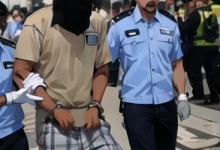 湖南男子杀父骗保遭刑拘，伦理、道德、法律交织下的反思