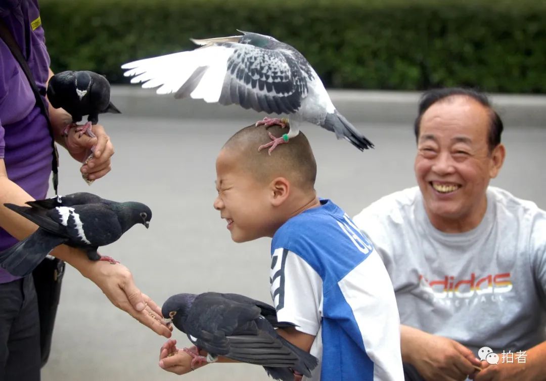 大爷路边捶脚引发小孩误会，是打鸽子还是关爱？