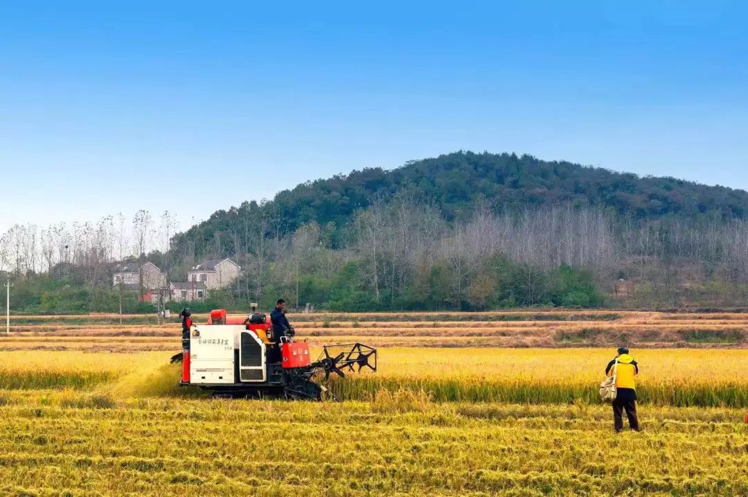 解决农业难题，破解种地困境，实现高效种植之道