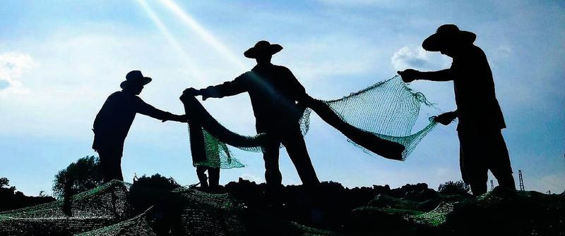 史上最热三伏挑战，炙烤下的炙热夏日