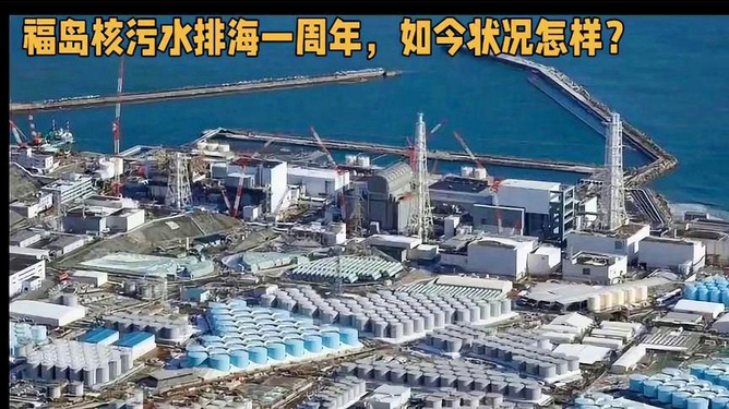 福岛核污水排海一周年现状回顾