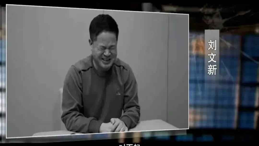 孙志刚一年间消灭近八百万亩玉米，壮举的影响与启示
