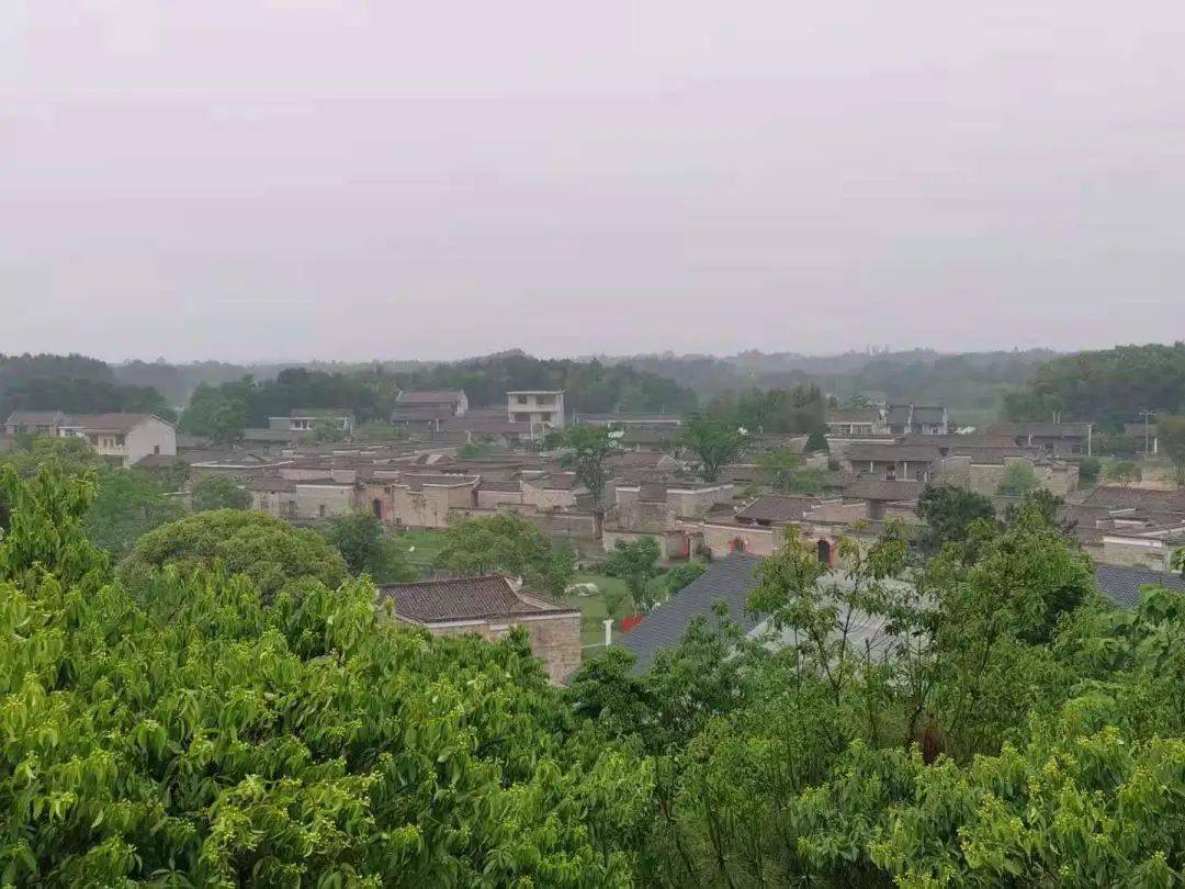 倪夏莲的花园，绽放的美丽与诗意生活
