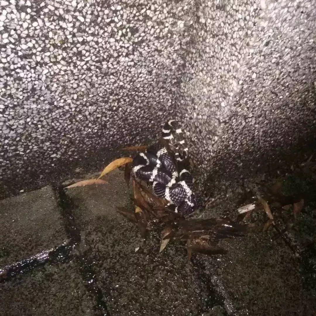 慈善总会遭拒遭保安驱赶，男子遭遇引发深思