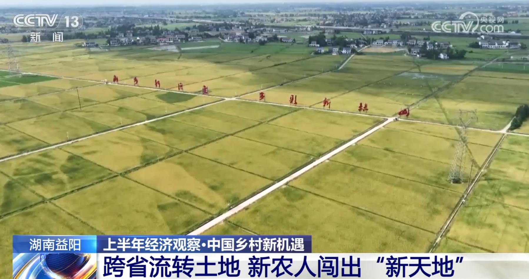 雄安新区发布四项农业农村地方标准，引领农业现代化新篇章