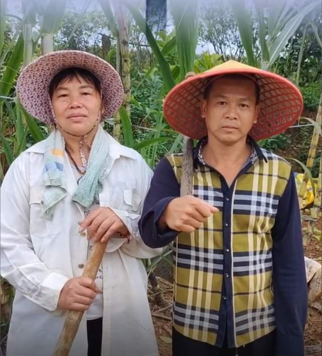 全红婵父亲成立养殖合作社，开启乡村振兴新篇章