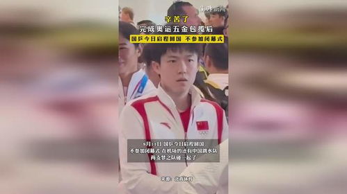 中国跳水队与乒乓球队荣耀归国，辉煌成就展望与持续辉煌之路的展望
