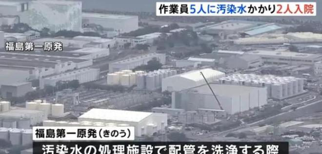 日本视角下的张本智和，背负压力，继续前行之路