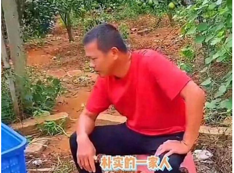 记者视角下的全红婵，跳水传奇，外星人在地球上的闪耀时刻