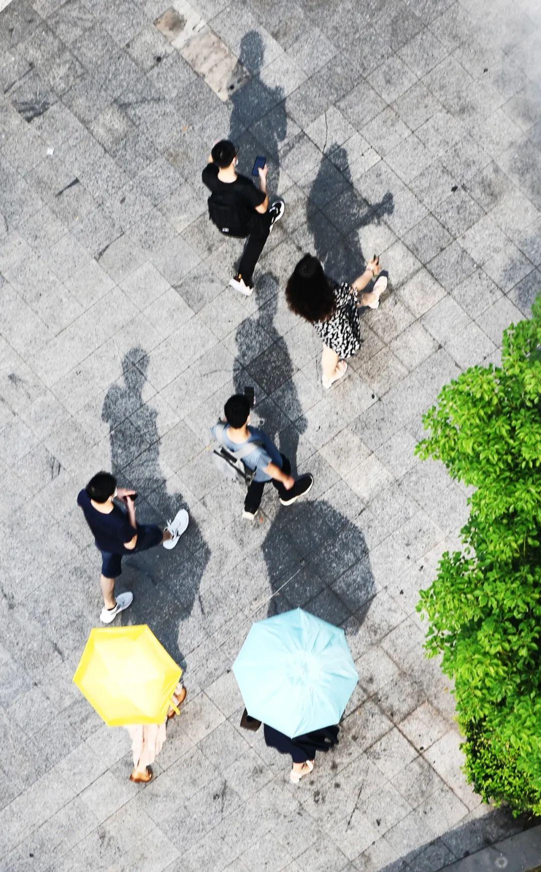 上海高温红色预警频发，城市如何应对极端天气考验