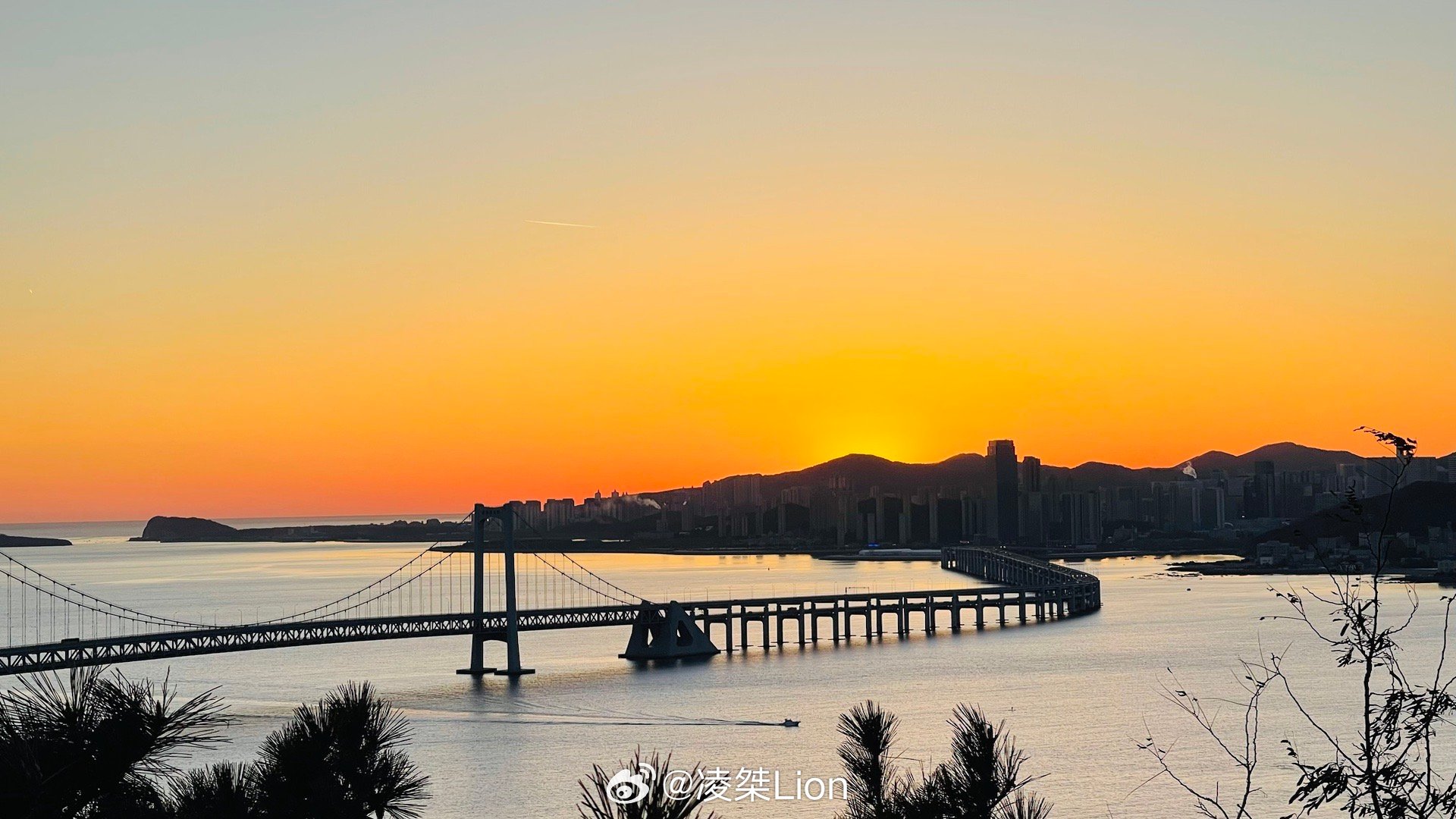 大连星海湾大桥建设方遭罚2700万，反思违规背后的启示