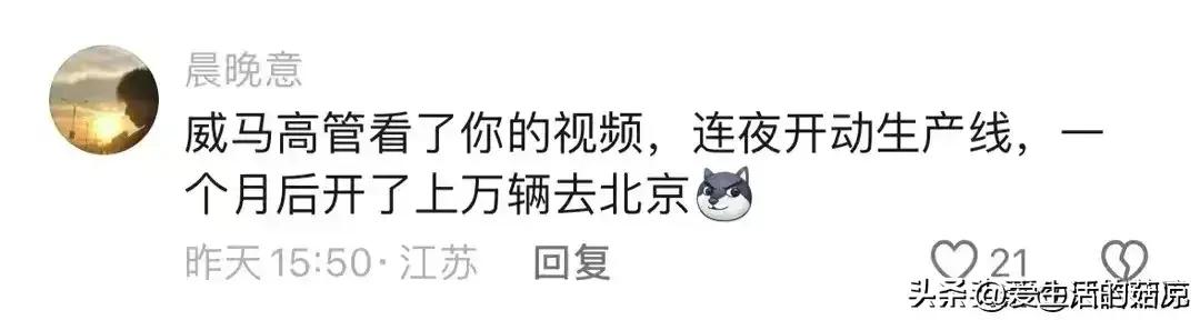 陈震回应网友对威马汽车的评论热议