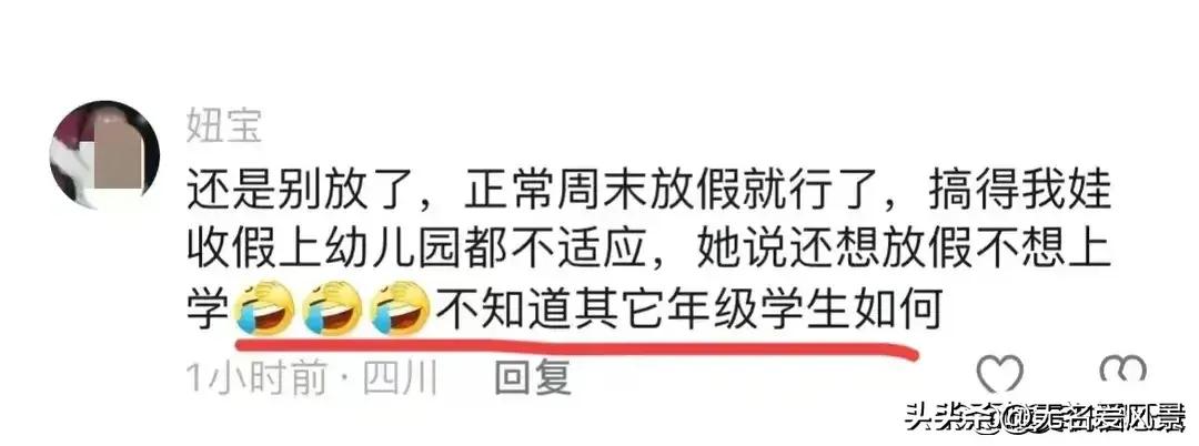 五一调休五天，文化与生活的交响盛宴