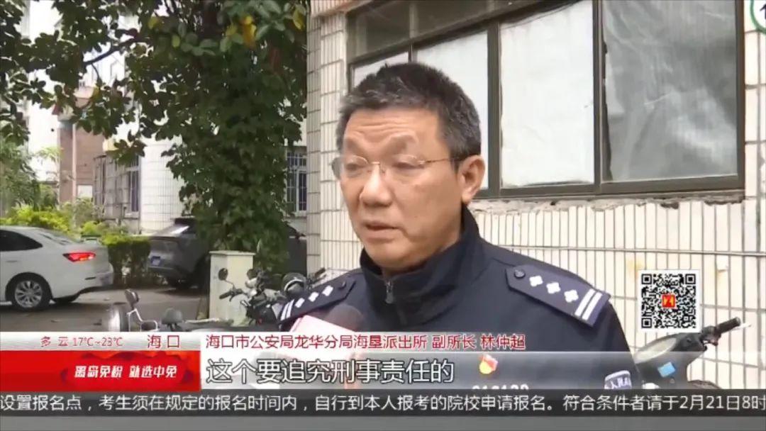 女子高空抛粪行为引发社会反响与深层思考，被拘役三个月