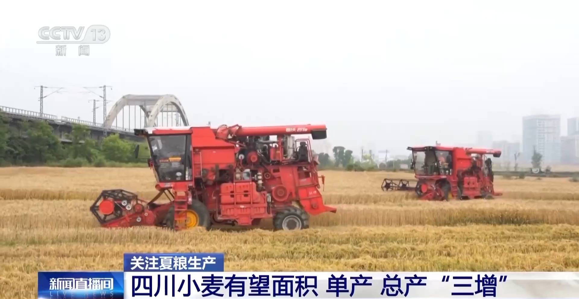 全国小麦田管理加强，保障丰收前景乐观