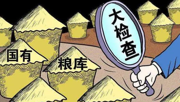 粮商勾结驻库员盗卖粮食，揭露粮食行业腐败黑洞获利超千万