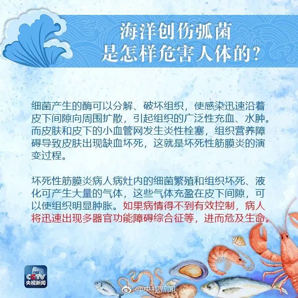 海鲜扎手可能致命，危险背后的真相