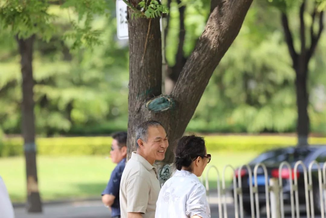 男子偶遇大爷盘树，日常坚持与奇迹的故事