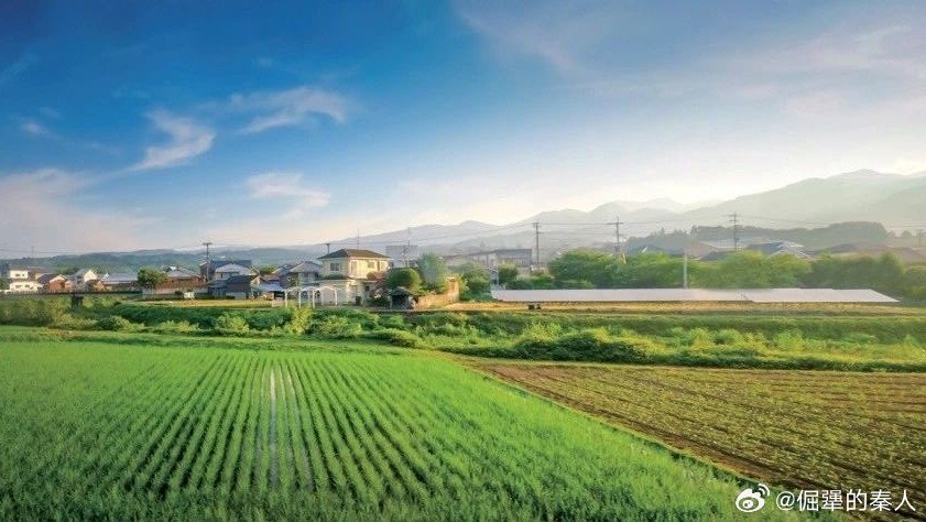 学者视角下的村集体新增耕地收费探讨，何错之有？