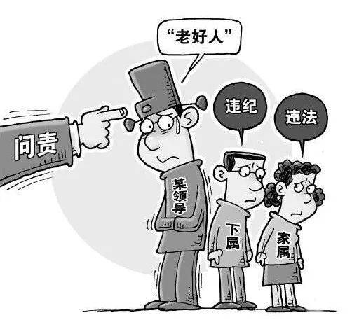 网友热议，法政法委员背景探究揭秘
