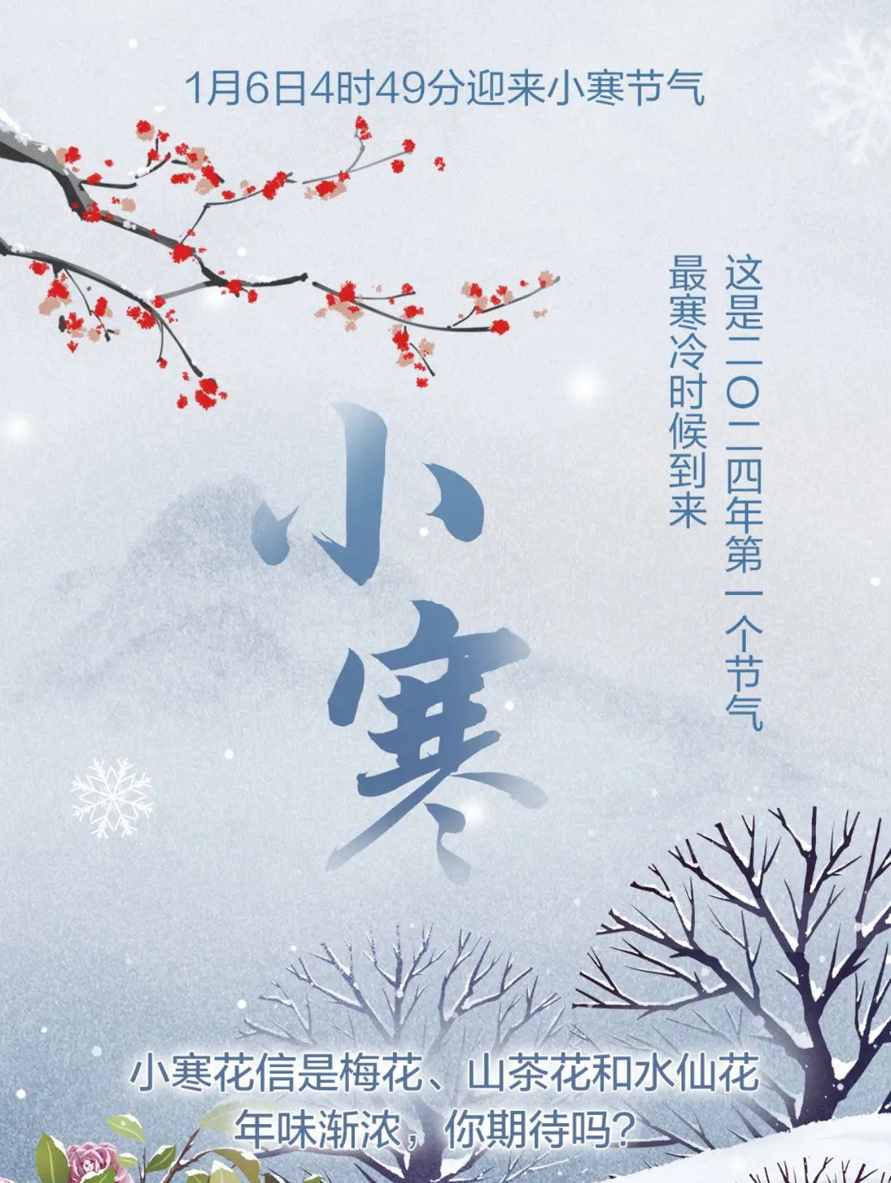 今年四月寒流来袭的谜团揭秘