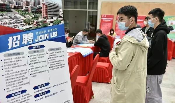 校方回应辅导员丢失毕业生学位证事件，责任追究、补救措施与未来防范策略