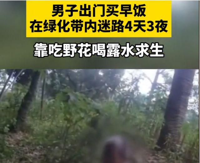 男子迷失绿化带四昼夜，生存的考验与奇迹之旅