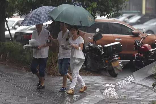 川渝暴雨挑战与应对策略