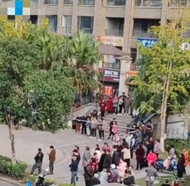 资讯 第118页