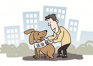 女子私闯房屋遭狗咬伤，责任归属与道德争议引发深思