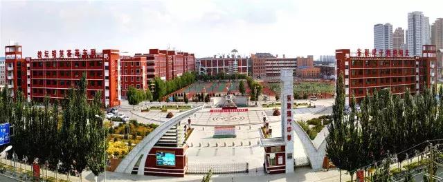 高考成功后发烧女孩的喜悦与报喜，梦想起航的闪光时刻