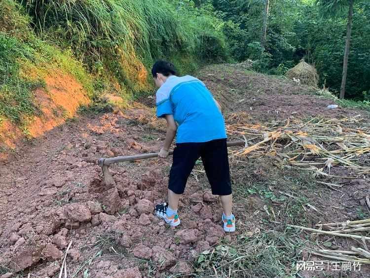小伙考获高分后继续务农，励志与坚毅的典范