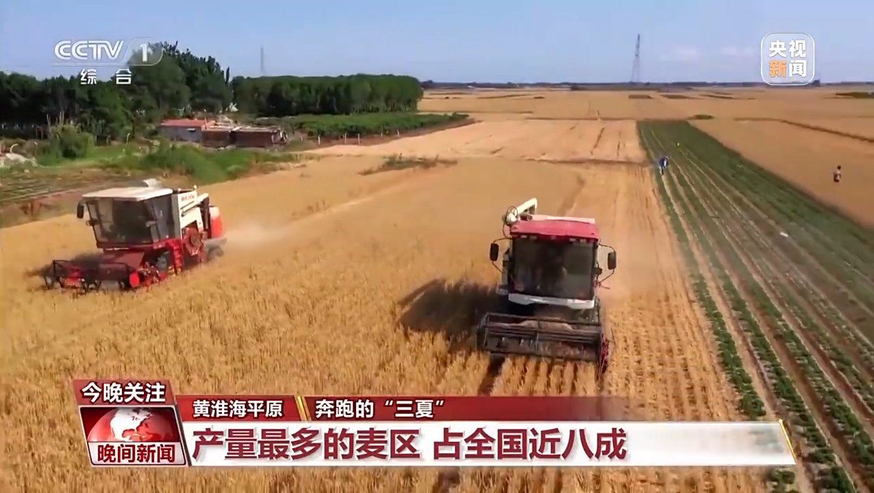 全国麦收进度过半，丰收背后的辛勤汗水与喜悦之情