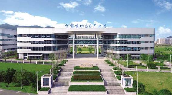 智翔金泰面临上市质疑与挑战，Q1营收仅10万元背后真相揭秘