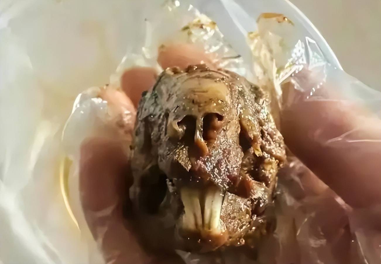 高校食堂食品安全风波，鼠头鸭脖事件引发学生权益与食品安全反思