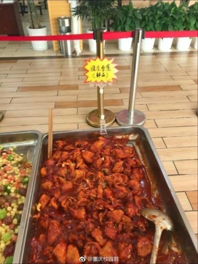 鼠头鸭脖事件揭示食堂意见反馈群内幕