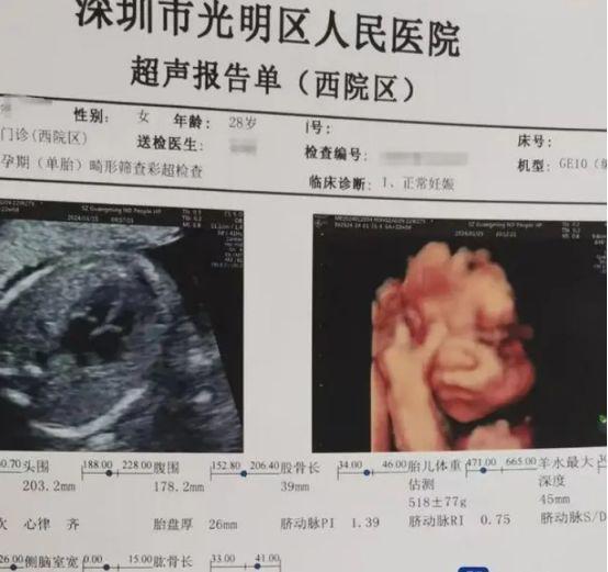 医院回应大厅惊现连着胎盘的婴儿事件，揭示真相与公众关注的双重重要性
