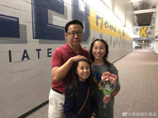 李阳家暴争议揭秘，真相与误解的较量