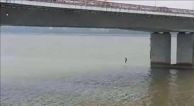 彭清林回忆惊险跳水救人瞬间，水中呛蒙仍英勇无畏