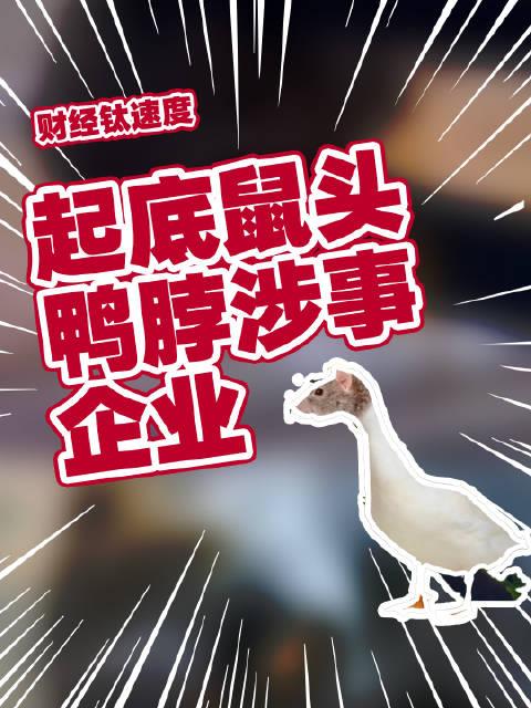 鼠头鸭脖事件背后的企业，中标背后的故事与挑战揭秘