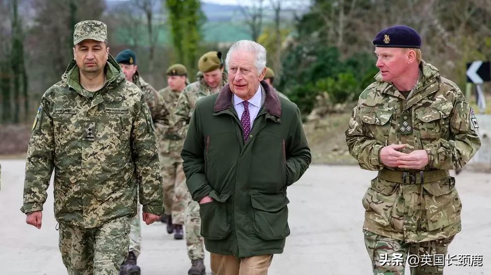 英国防大臣退出北约秘书长之争，背后考量与未来展望分析