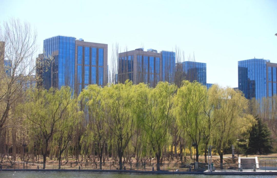 北京公园魅力与活力，接待游客达98万人次