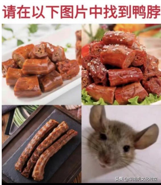 鸭脖鼠头事件涉事中快餐饮公司背后的真相与启示探寻